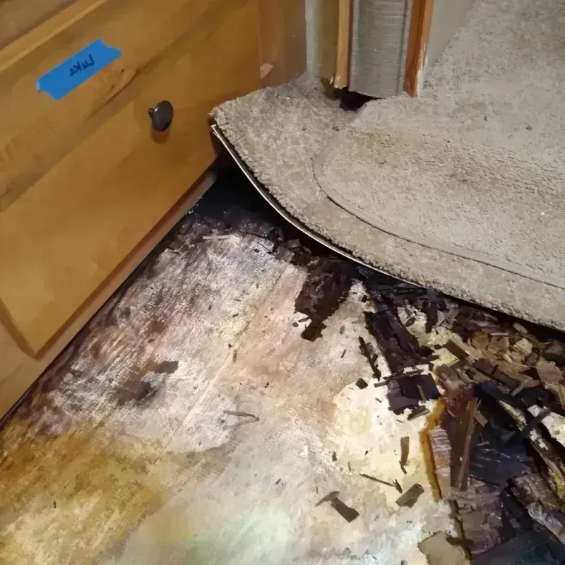 Wood Floor Water Damage in Potterville, MI